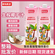 椰嗨果園生榨椰汁1000ml/1瓶正宗海南特產(chǎn)水植物椰奶果飲料椰汁 【海南島風味】椰汁1000ml*1瓶