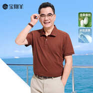 寶財(cái)羊父親節(jié)禮物實(shí)用含桑蠶絲短袖T恤男夏季半袖polo衫爸爸裝老人上衣 磚紅色 L (175)