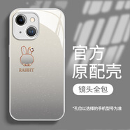 適用蘋(píng)果15手機(jī)殼iphone14pro星空兔子13液態(tài)玻璃12/11小眾簡(jiǎn)約XS 液態(tài)玻璃-銀色-星空灰兔子 iPhone 6