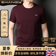 Ehangy國際奢侈品牌短袖男恤夏季新款高涼感純色圓領(lǐng)體恤男上衣潮套頭 酒紅 M