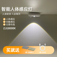 芃彩人工智能感應(yīng)燈頭開關(guān)控制燈led氛圍燈創(chuàng)意家用聲控感應(yīng)usb小夜燈 白色外殼人體感應(yīng)燈【白光】