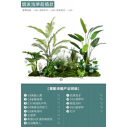 塑料仿真花類(lèi)田園風(fēng)格綠植仿真綠植盆栽室內(nèi)盆景裝飾 餐廳場(chǎng)景綠 煙波浩渺超值款_套
