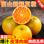 甜果源 三峽夏橙 手剝橙子湖北高山臍甜橙子果凍甜橙時(shí)令當(dāng)季新鮮水果 凈重8.8-9斤【超值實(shí)惠】 單果60-65mm【80%人選擇】