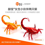 赫寶【年貨狂歡季】HEXBUG蝎子仿生電動(dòng)寵物機器男孩女孩玩具禮物 小伙伴兩只裝 高速爬行 顏色備注 電動(dòng)蝎子