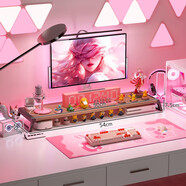 ZKHE女生家用顯示器增高架直播屏幕墊高架帶usb擴展塢充電辦公室工位 54*20cm胡桃色無(wú)USB促銷(xiāo)款