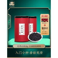 桐木人家果香正山小種正宗武夷紅茶制作奶茶散裝茶葉500g 500g
