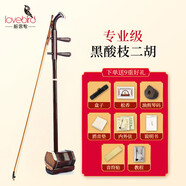 相思鳥  黑酸枝二胡初學(xué)練習(xí)純手工蟒皮六方二胡民族樂器帶松香隨行硬盒