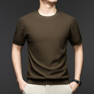 倉石一樹(shù)桑蠶絲亞麻棉針織短袖T恤男 夏季圓領(lǐng)菠蘿針透氣麻料體恤棉麻半袖 柚木咖 M 170