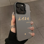 豐哲適用蘋(píng)果16手機殼iPhone15promax偉人語(yǔ)錄14教員13mini愛(ài)國12愛(ài)黨11為人民服務(wù)x男xr新款xs保護8套 435891-彩銀殼-【透黑】光明在前 iPhone XS Max