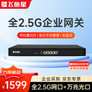 飛魚星全2.5g企業(yè)路由器 雙WAN行為管理帶寬疊加內(nèi)置AC帶機(jī)300臺(tái)  NAS適用VE1520XE