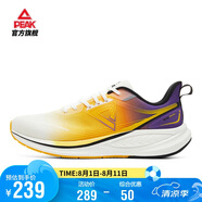 匹克態(tài)極騁風1.0跑步鞋男鞋輕便減震透氣中考體測運動鞋子男DH410037