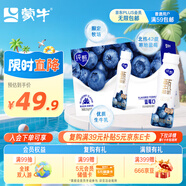 蒙牛純甄甄酸奶230g×10瓶 寒地藍莓風味酸奶 送禮盒裝