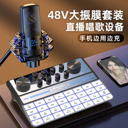魅聲G9 聲卡直播設(shè)備手機(jī)專業(yè)唱歌專用抖音K歌主播全套電腦外置錄音配音套裝 G9-P2（入門級套裝）