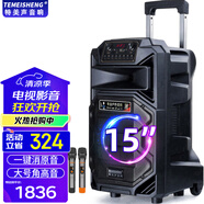 TEMEISHENG 特美聲SL12-31廣場舞音響帶KTV美聲話筒大音量移動K歌會議唱歌音響戶外音響大功率手提藍(lán)牙音箱 15寸標(biāo)配+2支無線話筒+大禮包