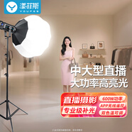 漾菲斯YS19A專業(yè)直播補光燈常亮led拍攝打光燈球形柔光燈箱600W大功率攝影棚拍照主播美顏嫩膚短視頻設(shè)備
