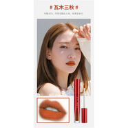 繽迪拉美拉唇釉持久保濕唇彩唇蜜染唇液滋潤(rùn)口紅 NO#4號(hào) 兩支