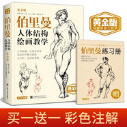 黃金版《伯里曼》人體結構繪畫(huà)教學(xué)人物速寫(xiě)入門(mén)基礎繪畫(huà)臨摹書(shū)籍透視技法自學(xué)頭像美術(shù)藝術(shù)手繪教材全套正版