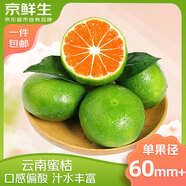京鮮生 云南青皮蜜桔8斤裝  果徑60mm+ 新鮮酸橘桔水果 源頭直發(fā)包郵