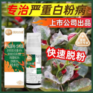 施奇白迪丙硫戊唑醇草莓多肉月季玫瑰白粉病植物花卉農(nóng)藥殺菌劑