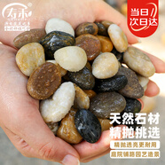 壽禾 鵝卵石魚缸裝飾造景天然石頭庭院花盆鋪面 0.8-1.5cm鵝卵石5斤