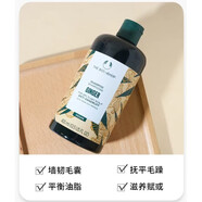The Body Shop英國進口  修護生姜洗發(fā)水去屑控油養(yǎng)發(fā)400ml 明星同款新包裝 生姜洗發(fā)水3瓶