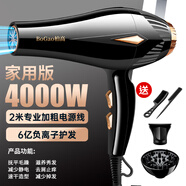 柏高吹風(fēng)機(jī)吹頭發(fā)家用理發(fā)店大風(fēng)力專用大功率發(fā)廊負(fù)離子護(hù)發(fā)速干冷熱 4000萬風(fēng)力家庭強(qiáng)風(fēng)版+2米線+送4
