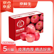 京鮮生 煙臺(tái)紅富士蘋(píng)果 凈重5斤  單果190g起 生鮮水果