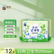 恩芝（Eunjee）韓國進(jìn)口日用衛(wèi)生巾250mm10片 艾草植萃微私護(hù)抑菌凈味超薄姨媽巾