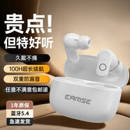 EARISE【2025新款丨旗艦頂配】藍(lán)牙耳機(jī)真無線半入耳式短柄音樂運(yùn)動(dòng)游戲低延遲高音質(zhì)安卓通用FD190白