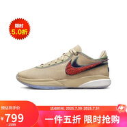 耐克（NIKE）男鞋夏款LeBron 20秋款減震耐磨籃球鞋 DV9089-200 40.5