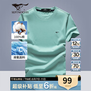 七匹狼短袖T恤男夏季涼感冰絲光棉圓領(lǐng)套頭短T純色休閑打底衫男裝上衣服 223(薄荷綠)-升級版 XL 175/92A