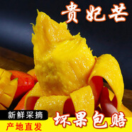 貴妃芒新鮮水果10斤芒果當季水果金煌芒金玉青辣椒芒正宗產(chǎn)地直發(fā) 9斤中果【單果100-150g】