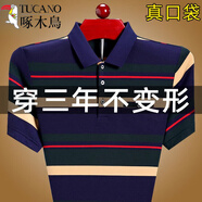 啄木鳥（TUCANO）短袖t恤男成熟穩(wěn)重男裝爸爸條紋上衣翻領(lǐng)體恤polo衫夏裝新款半袖T 2325墨綠短袖 L 170/50 建議115135斤