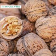 貴州畢節(jié)正宗本地老樹核桃薄皮核桃小米核桃2/3/5斤 5斤