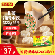 灣仔碼頭韭菜豬肉水餃1320g66只早餐食品速食半成品面點(diǎn)生鮮速凍餃子