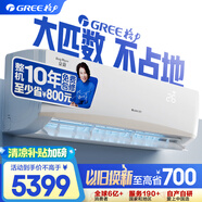 格力（GREE）空調(diào)  2匹 京韻 新能效變頻 壁掛式 客廳商鋪掛機(jī) 格力空調(diào)KFR-50GW/NhIe3BAj