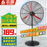 志高（CHIGO）工業(yè)風扇落地扇大風力強力牛角扇大功率商用吹除甲醛工廠車間立式搖頭落地風扇 650mm(鋁鎂葉)銅線 升級一鍵搖頭