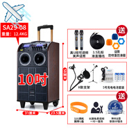 山水（SANSUI）工廠清貨特惠音箱功放話筒家庭影院戶外拉桿視頻機(jī)KTV音響 SA29-08