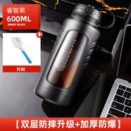 天喜（TIANXI）玻璃杯塑玻杯男女士泡茶杯茶水分離杯便攜辦公室水杯 黑600ML+杯刷【雙層防摔升級】