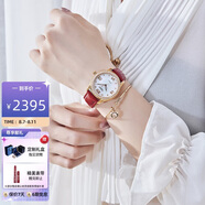 天珺（TANGIN）瑞表女士手表 全自動機械女表 時尚鑲鉆名媛 送女友 T7023LHWFSB