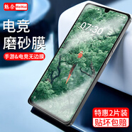 魅奈 適用堅(jiān)果pro3防窺鋼化膜 堅(jiān)果pro2/pro2s手機(jī)膜抗藍(lán)光高清護(hù)眼水凝膜防爆全屏玻璃膜 【堅(jiān)果Pro3】全玻璃【磨砂版】2片裝