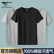 七匹狼男士白短袖t恤100%純棉打底衫背心春夏季薄款汗衫半袖圓領老頭衫 100%純棉圓領3件灰色+灰色+黑色 XL (175/100 推薦體重130-150斤)