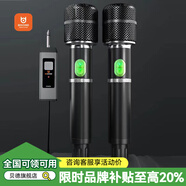 貝德萬能無線麥克風(fēng)舞臺專業(yè)家用ktv全民k歌唱歌演講會議戶外音響音箱通用可充電 一拖二話筒DWN-02（2只話筒）