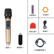 愛(ài)國者（aigo）適配家用電視無(wú)線(xiàn)麥克風(fēng)K歌神器USB無(wú)線(xiàn)充電話(huà)筒唱歌全民酷狗音樂(lè )k歌 金色單麥(用于海爾 雷鳥(niǎo) TCL50寸以上電視)
