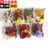 佐之尋干花材料包花田系樹葉植物標本手工滴膠永生花真花包裝飾干花妝 芳菲系列15克/包（7款隨機一包）