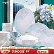 唐帕碗家用景德鎮(zhèn)碗碟套裝中式陶瓷高檔釉中彩陶瓷餐具喬遷盤子2024款 40頭實用配置【天山雪蓮】
