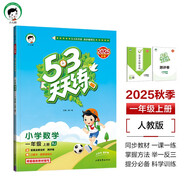 53天天練小學(xué)數(shù)學(xué)一年級(jí)上冊(cè)RJ人教版2025秋季含答案全解全析贈(zèng)測(cè)評(píng)卷五三天天練5 3天天練5.3學(xué)霸培優(yōu)5+3