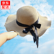 木耳邊大檐帽 夏天韓版女士草帽子木耳邊花朵波浪邊遮陽(yáng)帽大沿帽沙灘防曬帽子遮陽(yáng)帽防曬帽子戶(hù)外旅行女生帽 米色