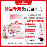 皇家幼貓 干濕搭配   K36 4.5KG+ KJP 85G*12