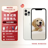【白條免息】Apple iPhone12 Pro 蘋果12 Pro 國行5G雙卡雙待 二手蘋果手機 蘋果12Pro【銀色】 95新128G【3期免息】